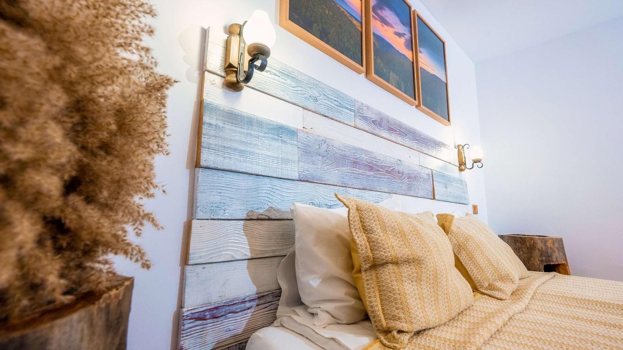 Vila Stefana Paltinis Room photo