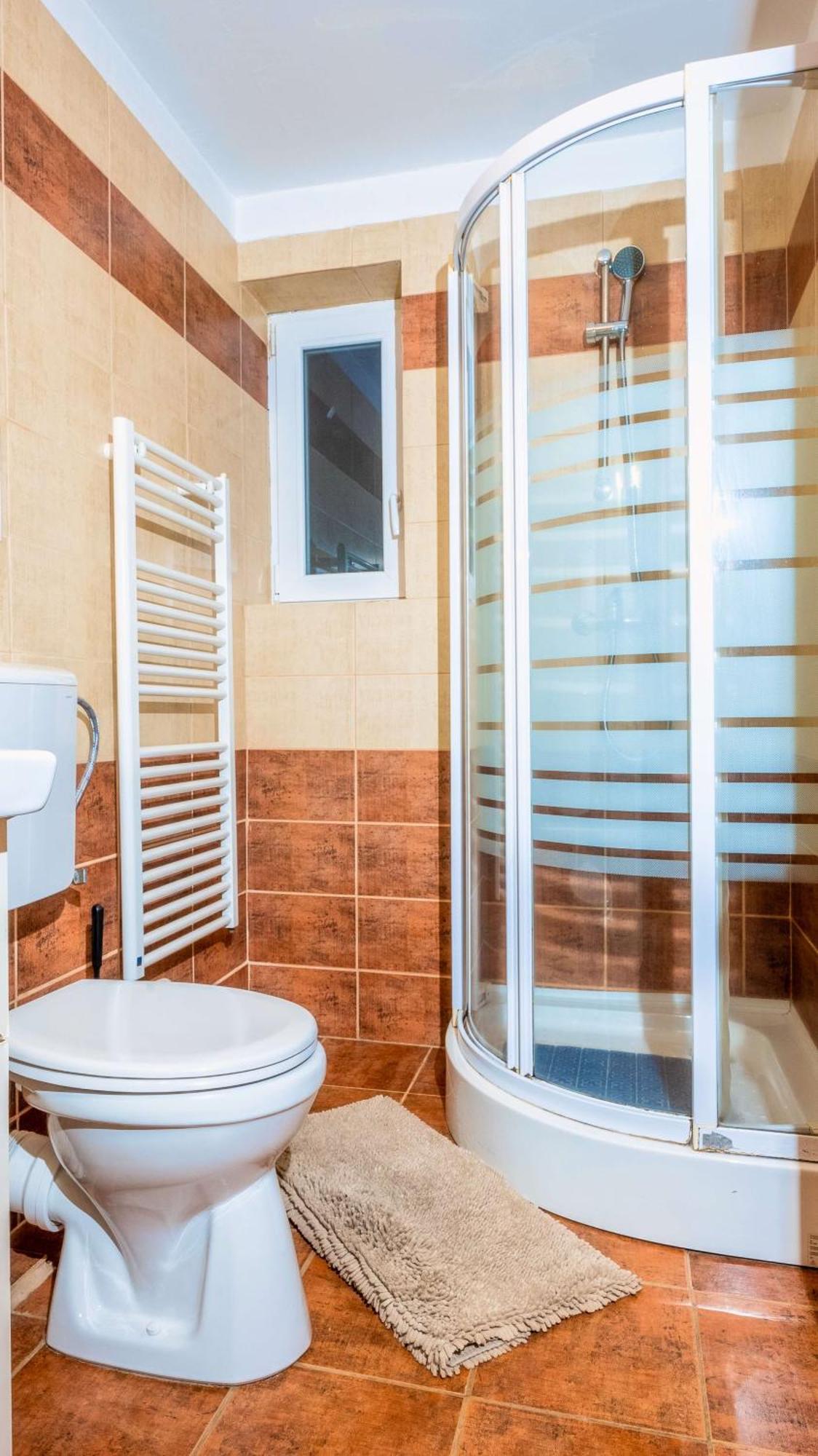 Vila Stefana Paltinis Room photo