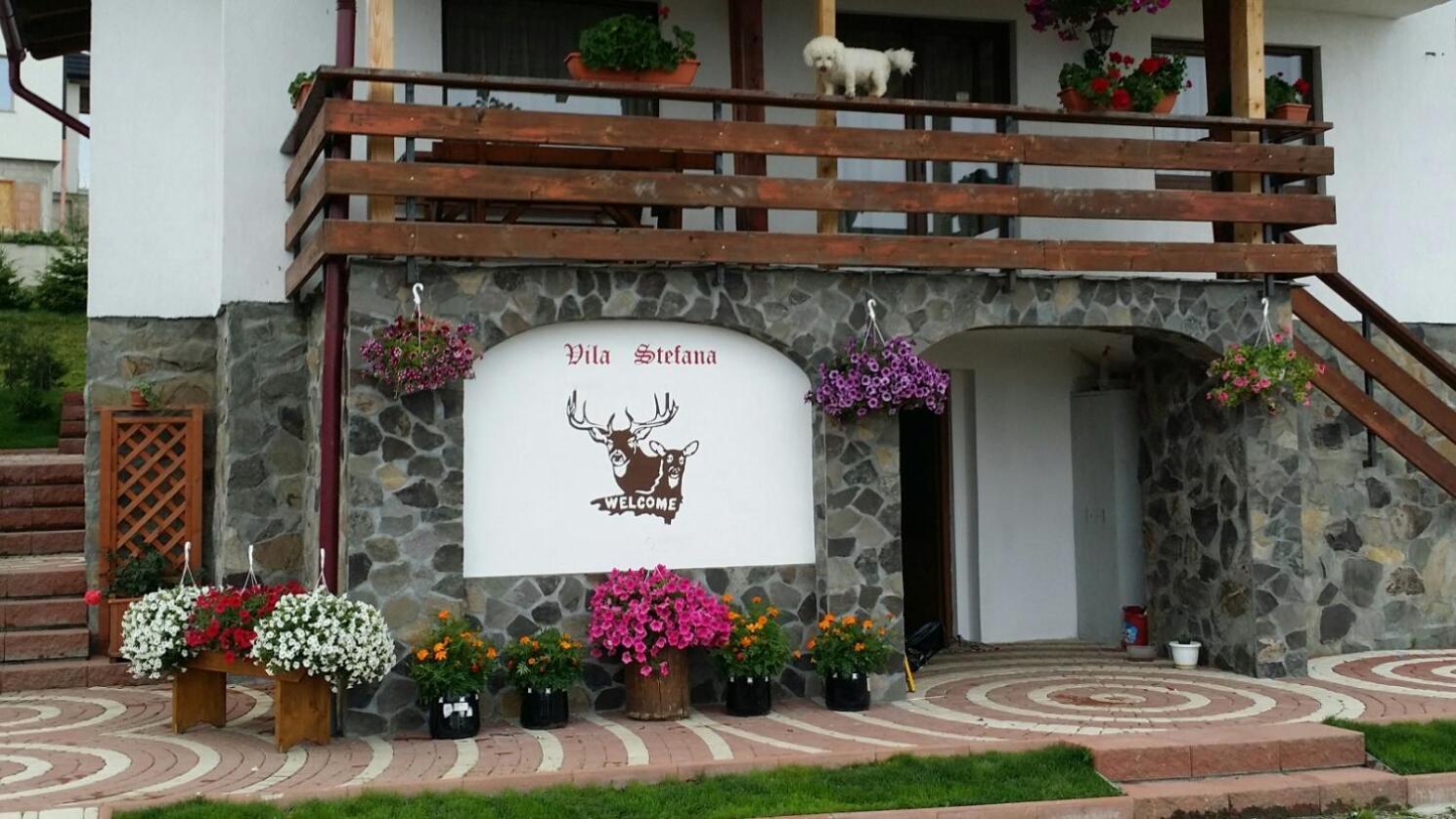 Vila Stefana Paltinis Exterior photo